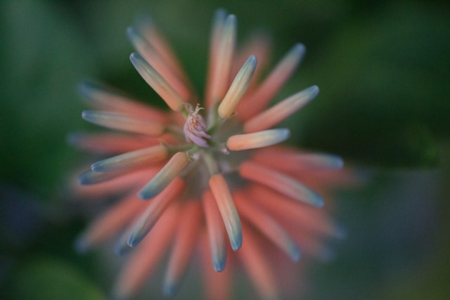 fatigue émotionnelle